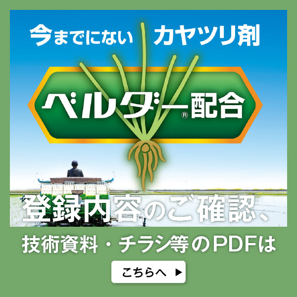 pdfはこちら